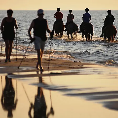 Grey & Колобжег