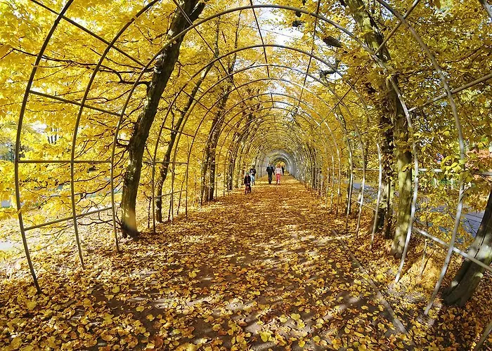 Grey&green * Kołobrzeg